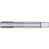 1/8"x28 BSPF HSSGT STR. FLUTE PLUG TAP thumbnail-0