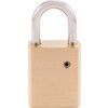 38x25mm SHACKLE W/PROOF BRASS PADLOCK thumbnail-2