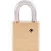 45x25mm SHACKLE W/PROOF BRASS PADLOCK thumbnail-2