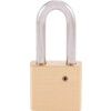 50x50mm SHACKLE W/PROOF BRASS PADLOCK thumbnail-2