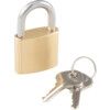 30mm SLIMLINE BRASS PADLOCK STEELSHACKLE thumbnail-0